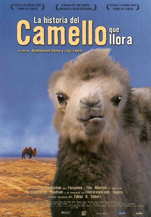 La historia del camello que llora