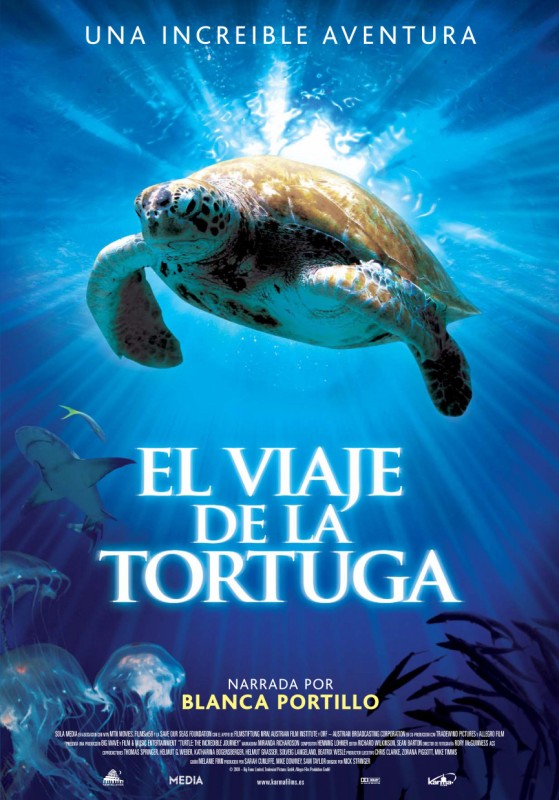 El viaje de la tortuga